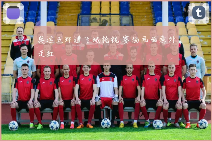 奥运五环遭飞蛾抢镜 赛场画面意外走红